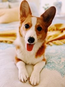 Minnie
